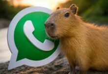 Photo of Cómo activar el “modo capibara” en WhatsApp