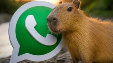 Photo of Cómo activar el “modo capibara” en WhatsApp