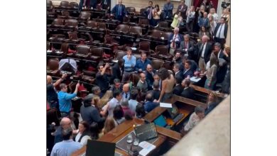 Photo of Escándalo en el Congreso: Zago y Almirón, a las piñas en Diputados