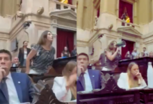 Photo of Marcela Pagano sacó un megáfono en Diputados y apuntó directo a Martín Menem  