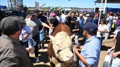 Photo of Expoagro: ejemplo único en el mundo