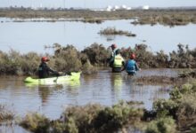 Photo of Bahía Blanca: así buscan a dos hermanitas y un chofer desaparecidos en medio del devastador temporal