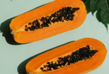 Photo of Así se pueden reutilizar las semillas de papaya: cuál es el beneficio secreto que muchos desperdician