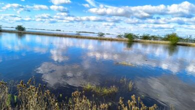 Photo of “Explotó todo”: la odisea que se vive en tres partidos bonaerenses con más de 240.000 hectáreas bajo el agua