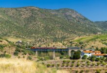 Photo of Trenes locales que recorren Europa para disfrutar de paisajes mágicos