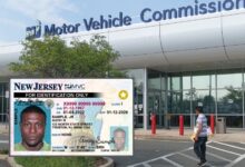 Photo of Cómo tramitar la cita para obtener la Real ID en Nueva Jersey: ¿es obligatorio tenerla?