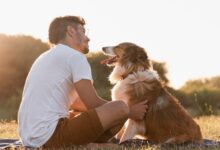 Photo of Los mejores e impensados consejos para lograr que tu perro sea feliz