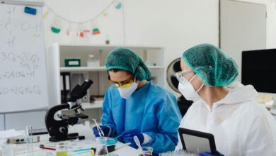 Photo of Alarma profesional: solo 1 de cada 4 estudiantes elige carreras científicas en Iberoamérica