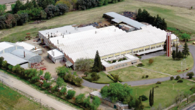 Photo of Una empresa en permanente crecimiento y desarrollo que brinda la más alta calidad en sus productos