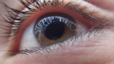 Photo of El alimento clave para proteger tus ojos y prevenir cataratas