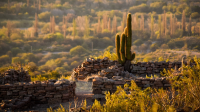 Photo of Para los turistas más aventureros y con pasión por la historia: el destino riojano que te invita a recorrer las ruinas de civilizaciones antiguas