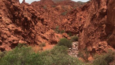 Photo of El encanto del norte en un solo destino: la maravilla jujeña repleta de una belleza inigualable que enamora a sus visitantes