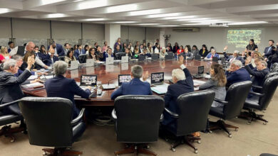 Photo of Todo en su medida y armoniosamente