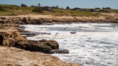 Photo of Para hacer una escapada solitaria: el bello paraíso de la costa de Buenos Aires que brinda una de las mejores playas del país