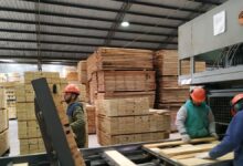 Photo of Golpe al corazón de la industria maderera: el sector opera a menos del 50% y alerta por cierres