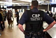 Photo of Bolsos de diseñador, carteras, ropa y relojes: la razón por la que CBP incauta productos en la frontera de EE.UU.