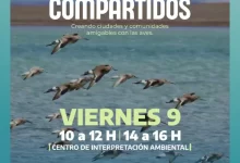 Photo of Participá de “Espacios compartidos” en el Centro de Interpretación Ambiental