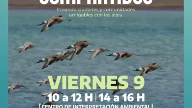 Photo of Participá de “Espacios compartidos” en el Centro de Interpretación Ambiental