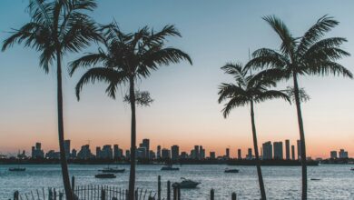 Photo of Ni inglés, ni español: este es el “nuevo lenguaje” que nació en Florida con la inmigración