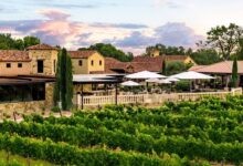 Photo of No es California: la ruta de Texas con más de 100 bodegas de vino e ideal para visitar