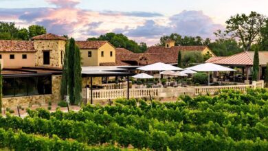 Photo of No es California: la ruta de Texas con más de 100 bodegas de vino e ideal para visitar