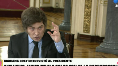 Photo of Milei sigue a los insultos por Ficha Limpia