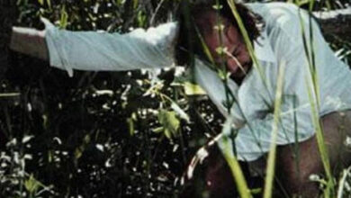 Photo of A 100 años del nacimiento de Haroldo Conti, Abuelas proyectará la película Sudeste