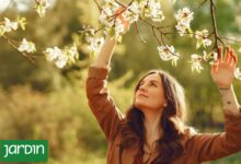 Photo of Jardines sensoriales: qué son, qué historia tienen y cómo hacer uno en casa