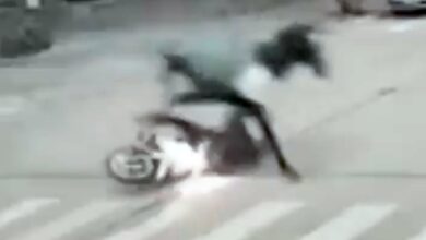 Photo of Insólito hecho: un caballo, a todo galope, embistió a una mujer que circulaba en una moto
