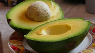 Photo of Los múltiples beneficios de la palta para la piel