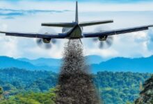 Photo of Por qué Estados Unidos libera millones de moscas sobre Panamá, cada semana