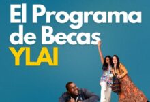 Photo of Migrar de forma legal a EE.UU.: el programa para jóvenes latinos y emprendedores para trabajar en el país