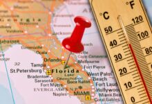 Photo of En Florida: cuándo se espera que llegue la primera ola de calor