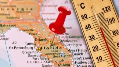Photo of En Florida: cuándo se espera que llegue la primera ola de calor