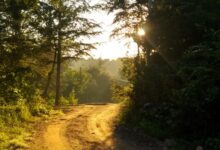 Photo of El pueblo de apenas 130 habitantes escondido en un bosque con un río increíble del que nunca escuchaste hablar
