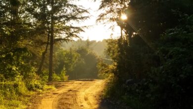 Photo of El pueblo de apenas 130 habitantes escondido en un bosque con un río increíble del que nunca escuchaste hablar