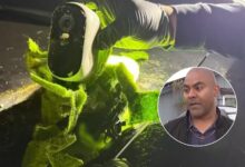 Photo of Cámaras ocultas en los jardines: el modus operandi que alerta a los vecinos de este lugar en California