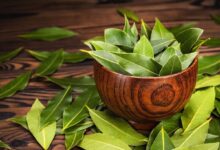 Photo of El antiguo ritual del Feng Shui para atraer energía positiva y prosperidad