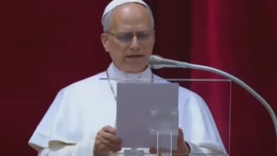 Photo of “Nunca más la guerra!”, el grito de León XVI en su primera aparición dominical ante 100.000 fieles e inmenso entusiasmo