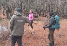 Photo of El Bolsón: intensa búsqueda de dos mujeres desaparecidas desde el viernes en una zona con temperaturas cercanas a 0°C