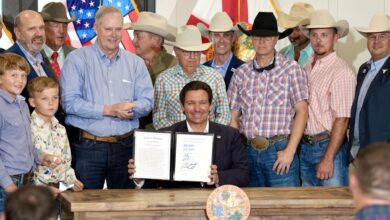 Photo of Ron DeSantis la firmó: la nueva ley de Florida que afecta a los consumidores y entra en vigor el 1° de julio