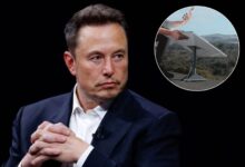 Photo of Cuánto hay que pagar en mayo de 2025 para usar Starlink, la internet satelital de Elon Musk, en EE.UU.