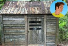 Photo of Transformó un cobertizo abandonado en una lujosa “tiny house” y el resultado fue sorprendente