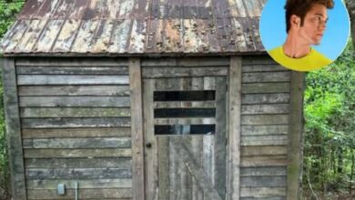 Photo of Transformó un cobertizo abandonado en una lujosa “tiny house” y el resultado fue sorprendente
