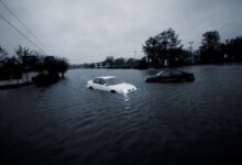 Photo of Alerta ambiental. ¿Cuánto sabés sobre el cambio climático y sus efectos?