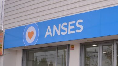 Photo of Cómo tramitar la PUAM de ANSES en mayo 2025, paso a paso