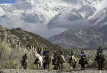 Photo of Descubrir Maipú en otoño e invierno: una travesía cálida entre vinos, historia y paisajes nevados