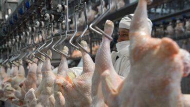 Photo of Argentina retomará la exportación de carne aviar a Japón tras una larga suspensión