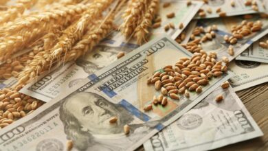 Photo of Dólar: la city traza un nuevo piso y techo en medio de la pulseada del agro e importadores