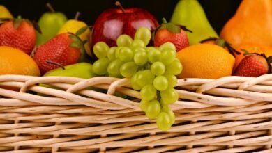 Photo of Una revolución para la vida sana: el asombroso invento que une diversión, alimentación saludable y cuidado del medio ambiente